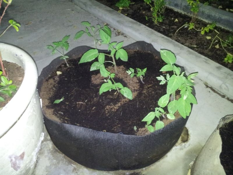  photo e33130cb-3963-480e-9fb7-62b7bb0bb592.jpg